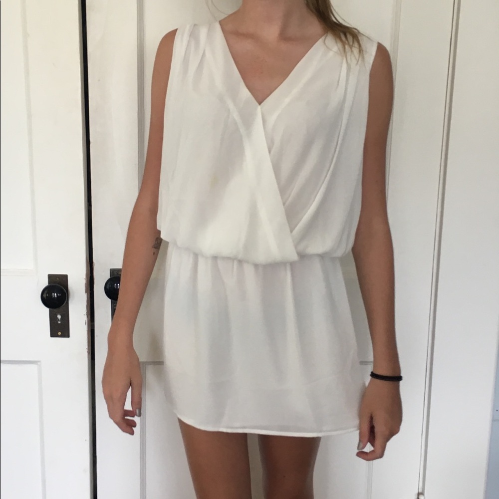 White Naked Zebra Dress - Picture 2 of 4